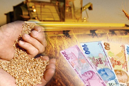 KIRSAL KALKINMA DESTEKLERİ 13. ETAP KAPSAMINDA TARIMA DAYALI YATIRIMLARIN DESTEKLENMESİ HAKKINDA TEBLİĞ YAYINLANDI