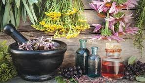 Tıbbi Aromatik Bitki Yetiştiriciliği Amaçlı Kiralama İlanı